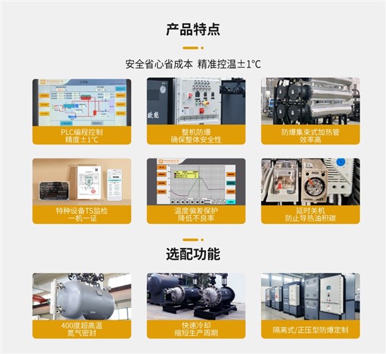 防爆电加热导热油炉